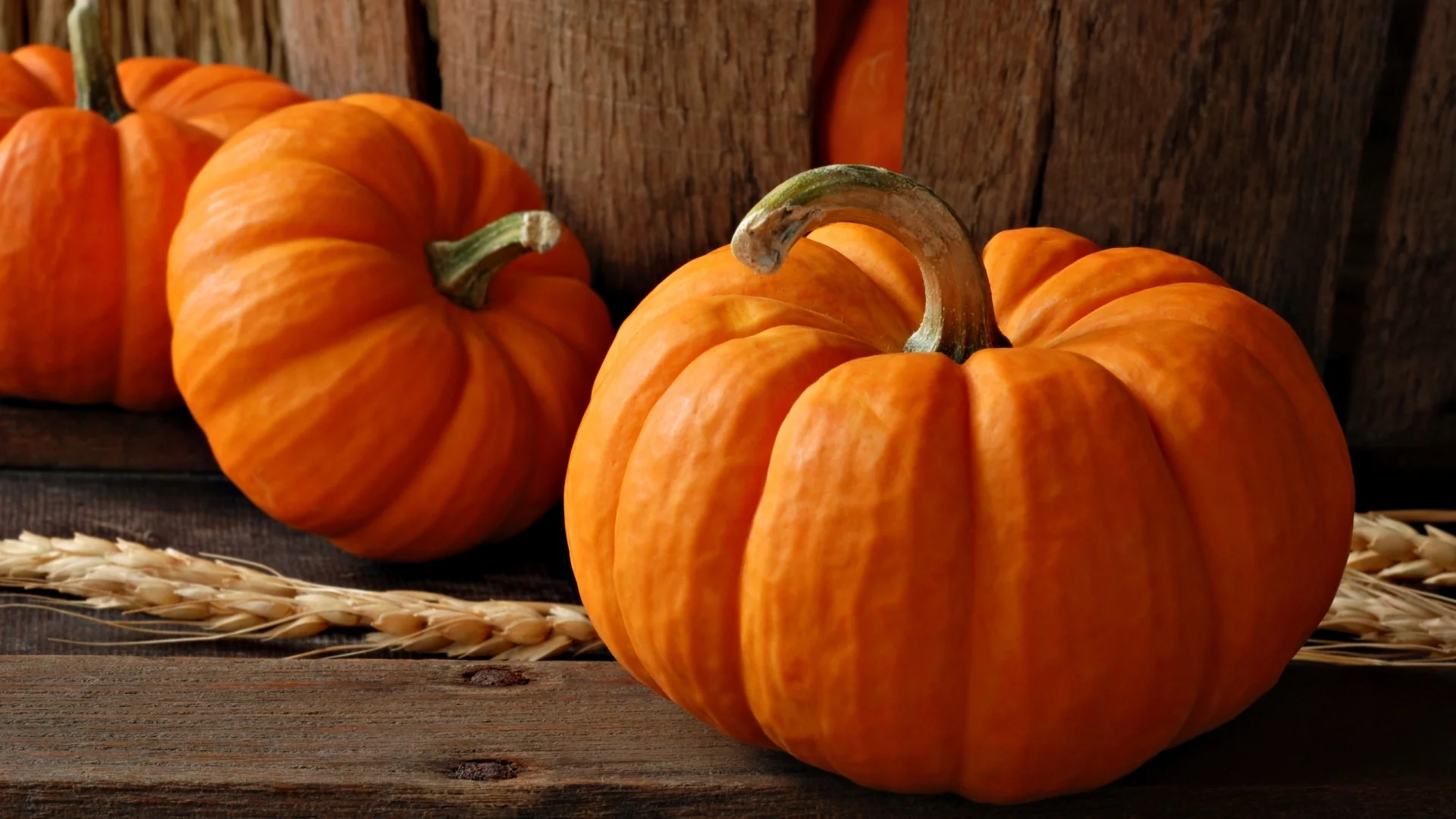 Halloween Class Schedule