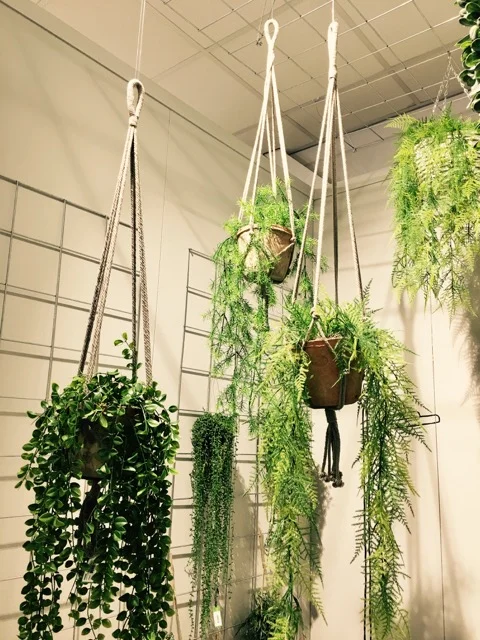 Macrame hanging baskets are back!