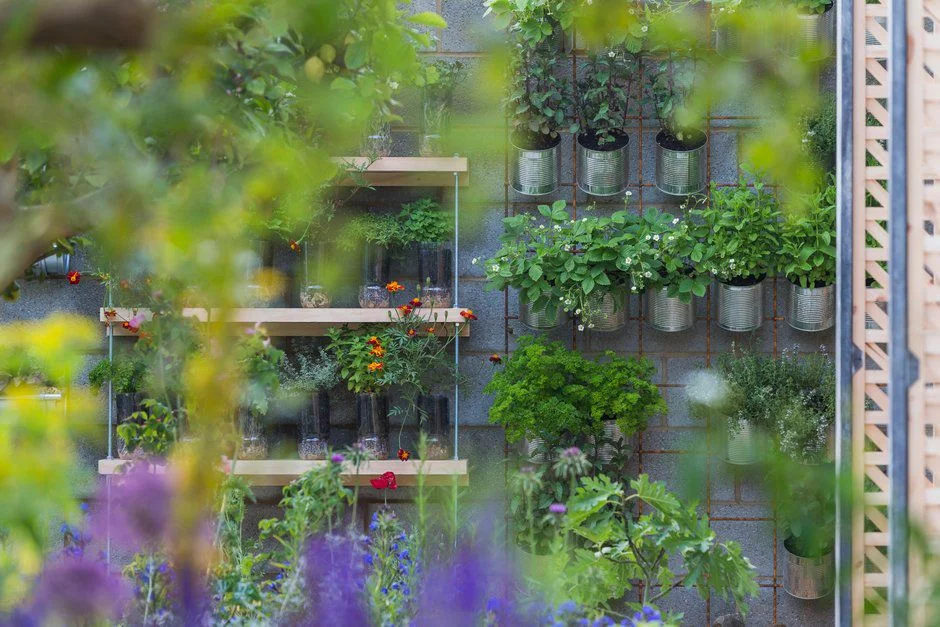 RHS/Neil Hepworth