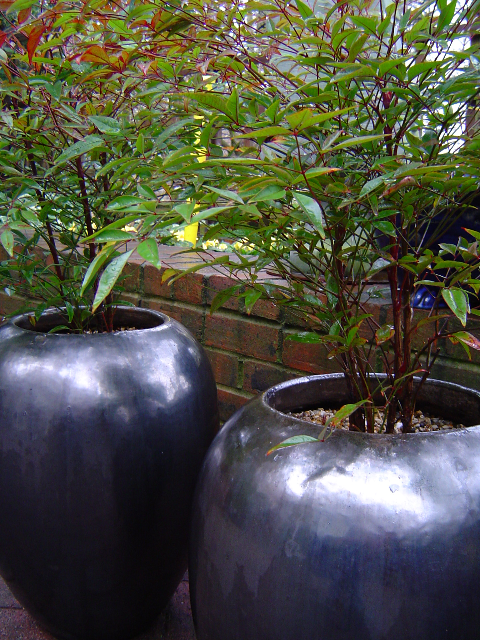 Rounded Silver Pots