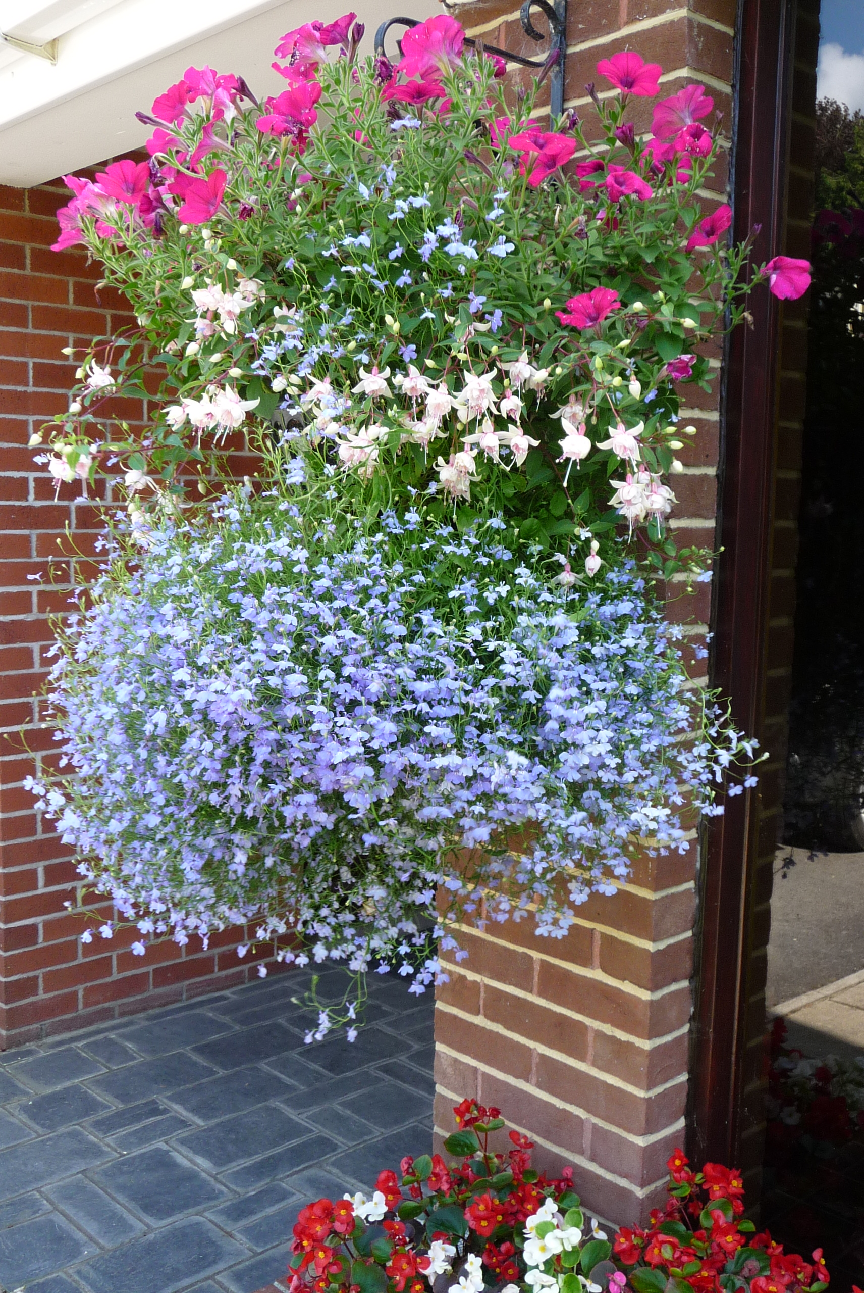 Summer Hanging Basket