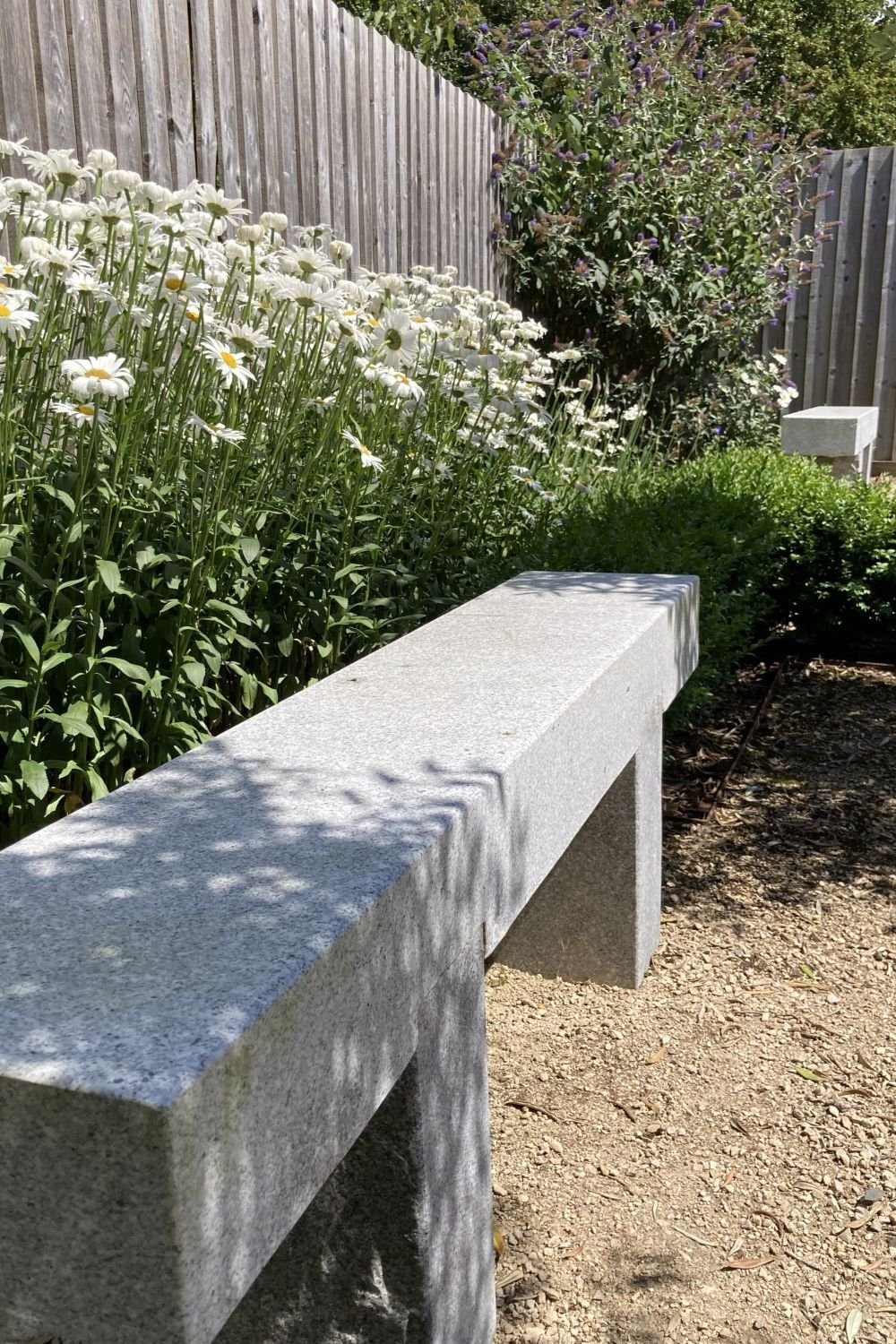 bench-white-flowers.jpg