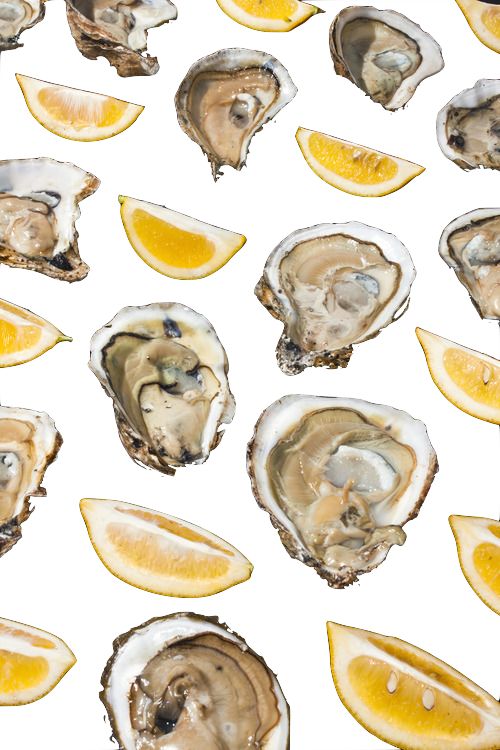 oysterprint.jpg