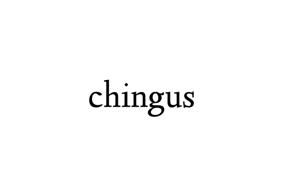 05 _ Chingus.jpg