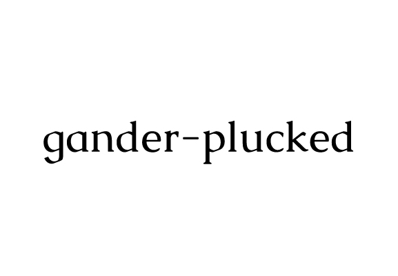 38 _ Gander Plucked.jpg