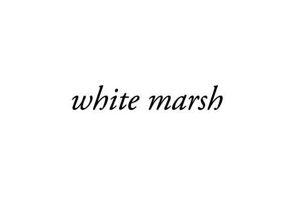 64 _ White Marsh.jpg