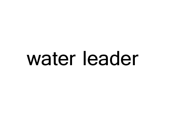 95 _ water leader.jpg