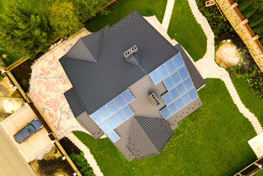 Designing a Backyard That Supports Both Sustainability and Wildlife