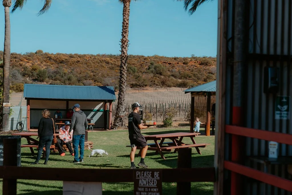 SafireStudios00127-3.jpg