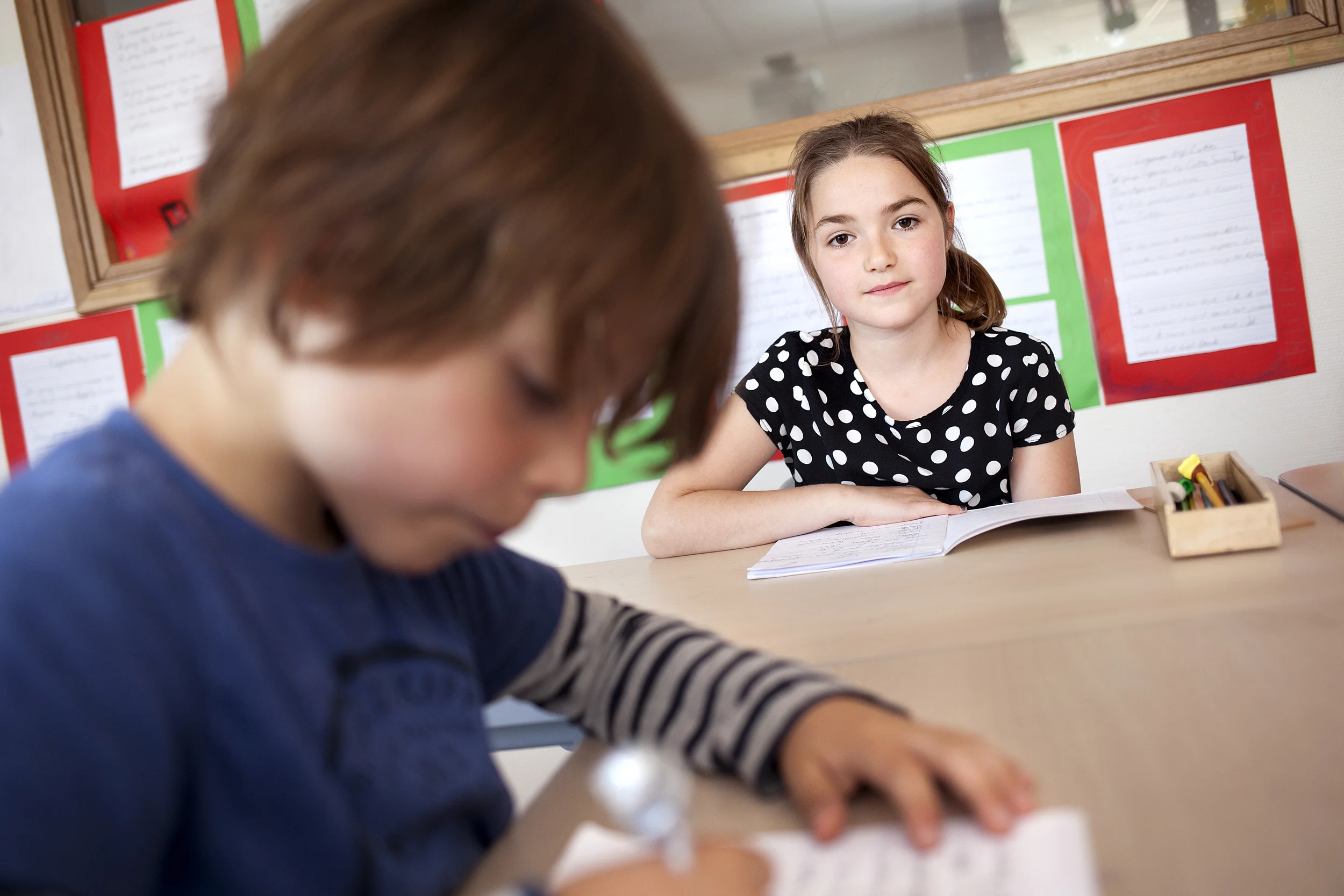 Kameleon-onderwijs.jpg