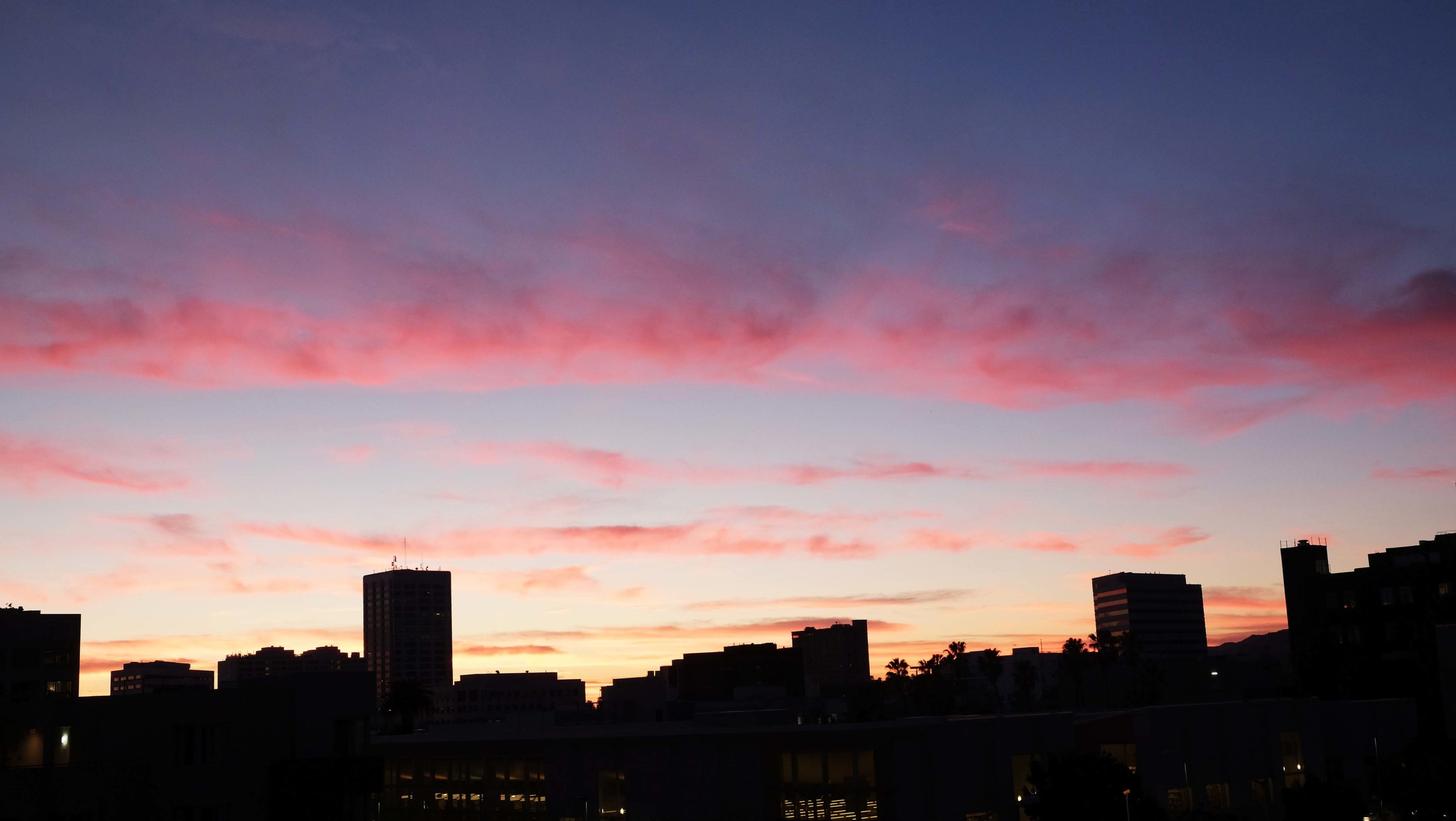 DSCF5361.jpg