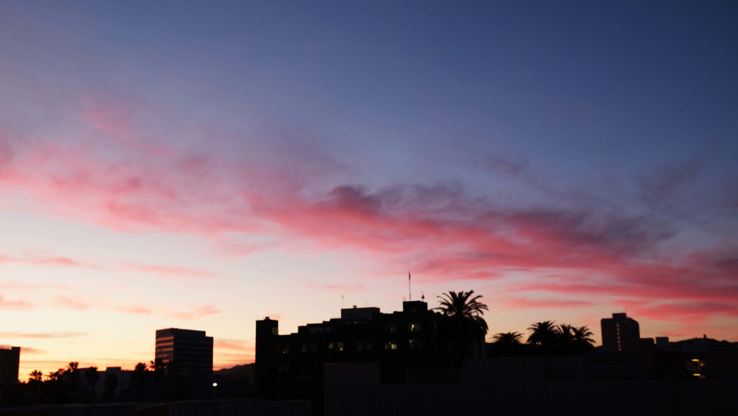 DSCF5364.jpg