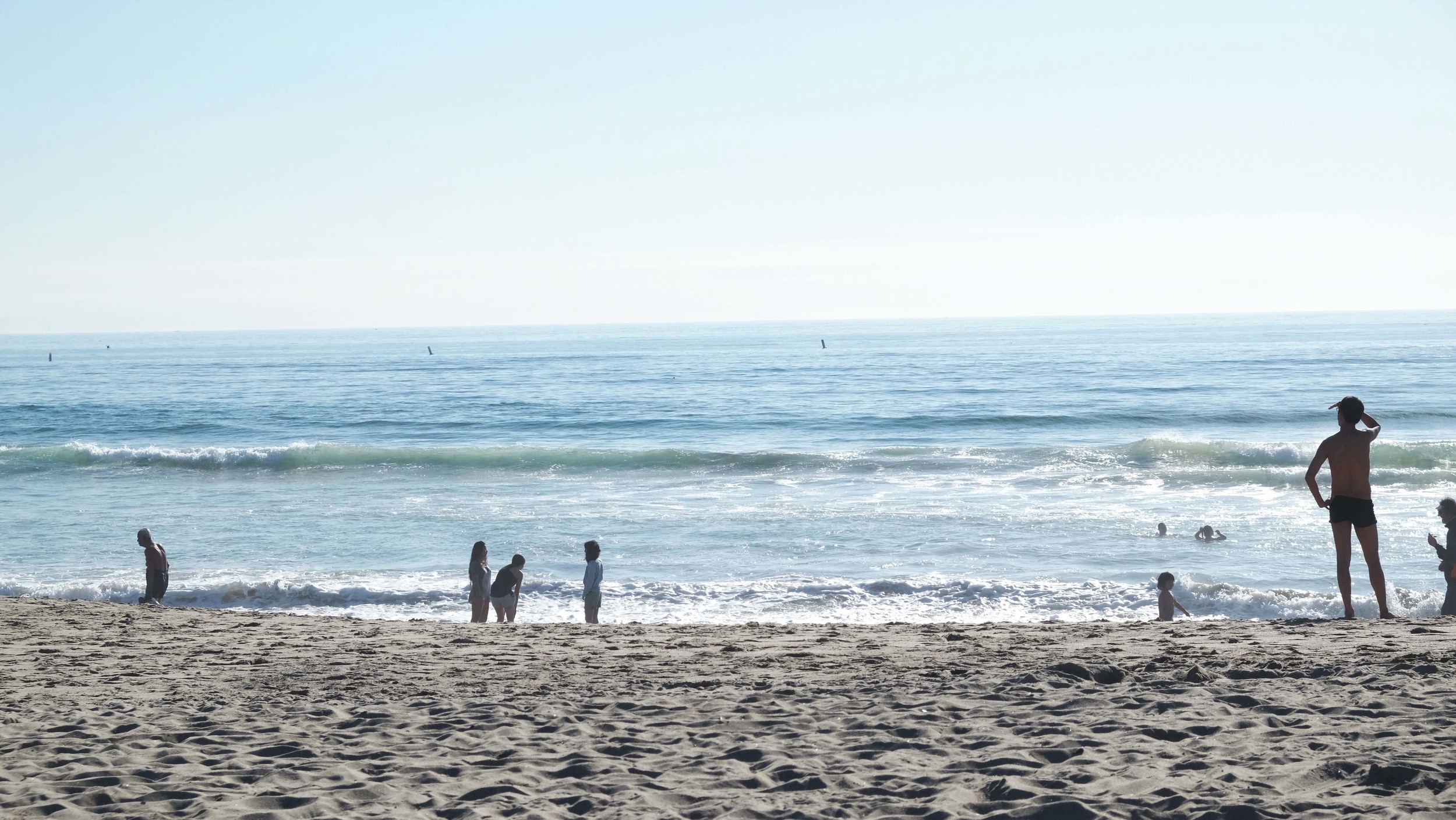 DSCF5408.jpg