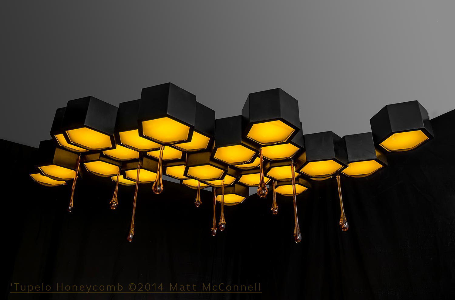 Tupelo Honeycomb - ©2014 Matt McConnell-2.jpg