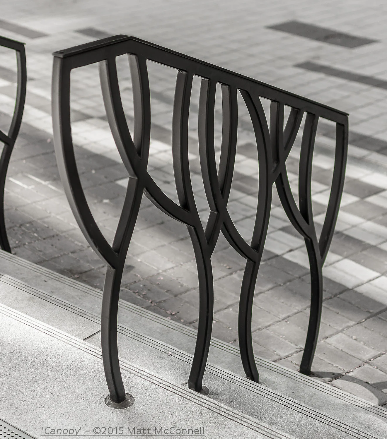 'Canopy' — McConnell Studios