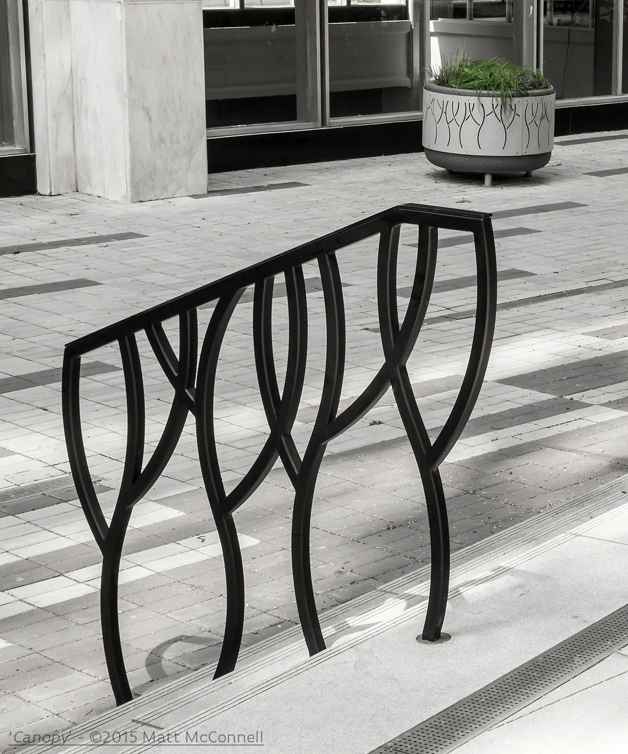 'Canopy' — McConnell Studios