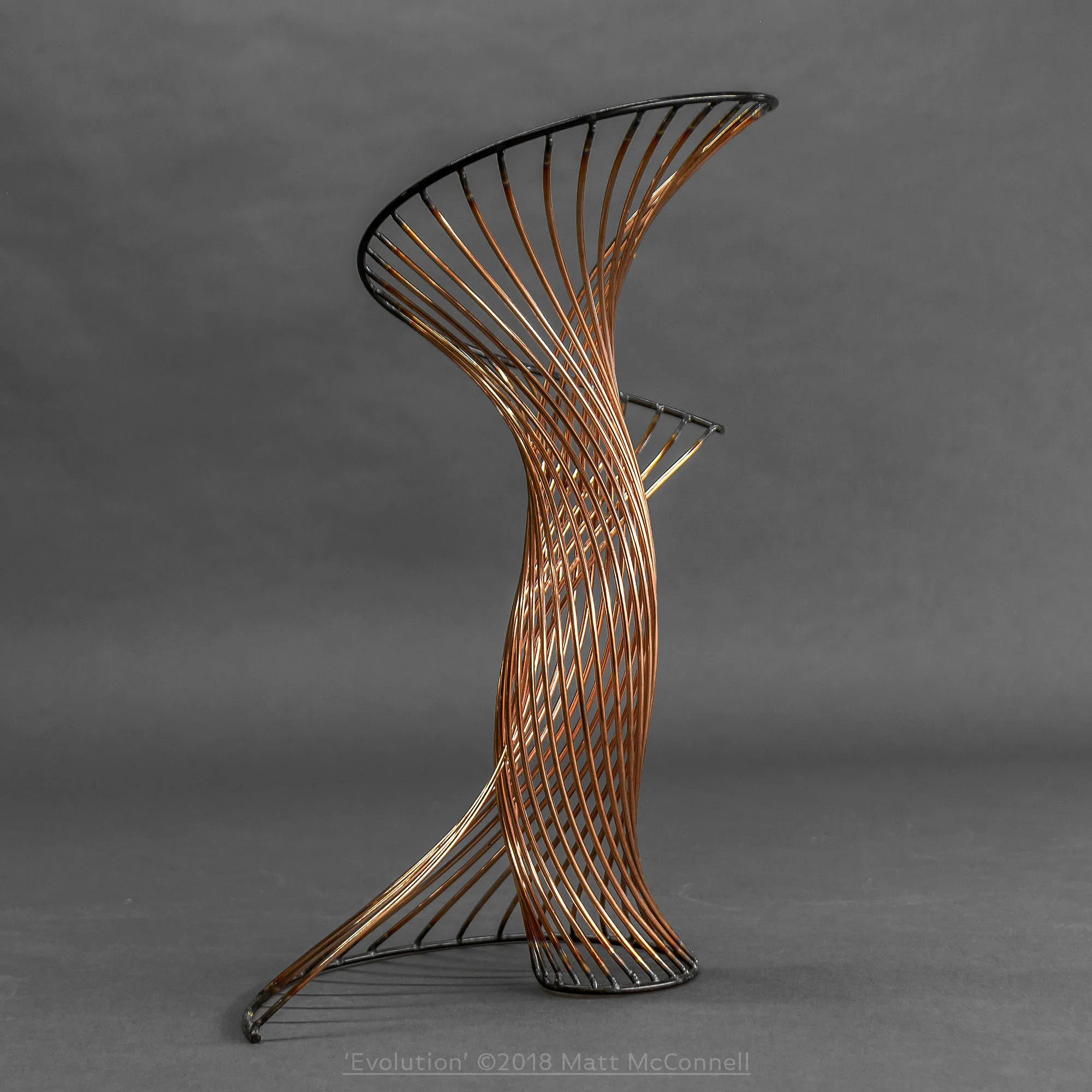 'Evolution'-04-©2018 Matt McConnell.jpg