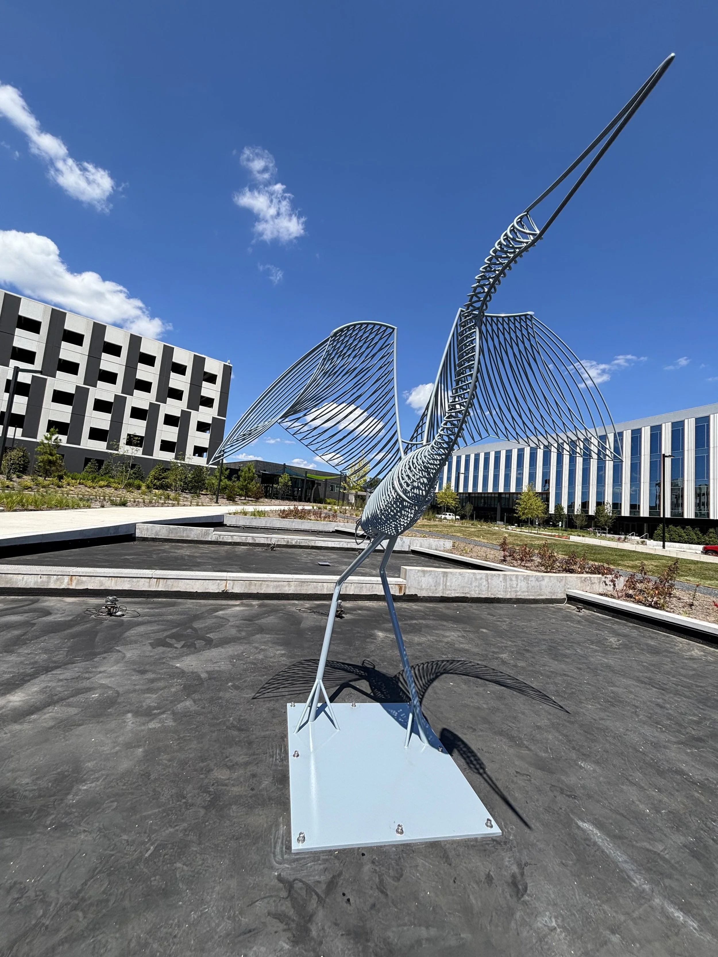 Photo Aug 29 2025, 1 33 01 PM.jpg