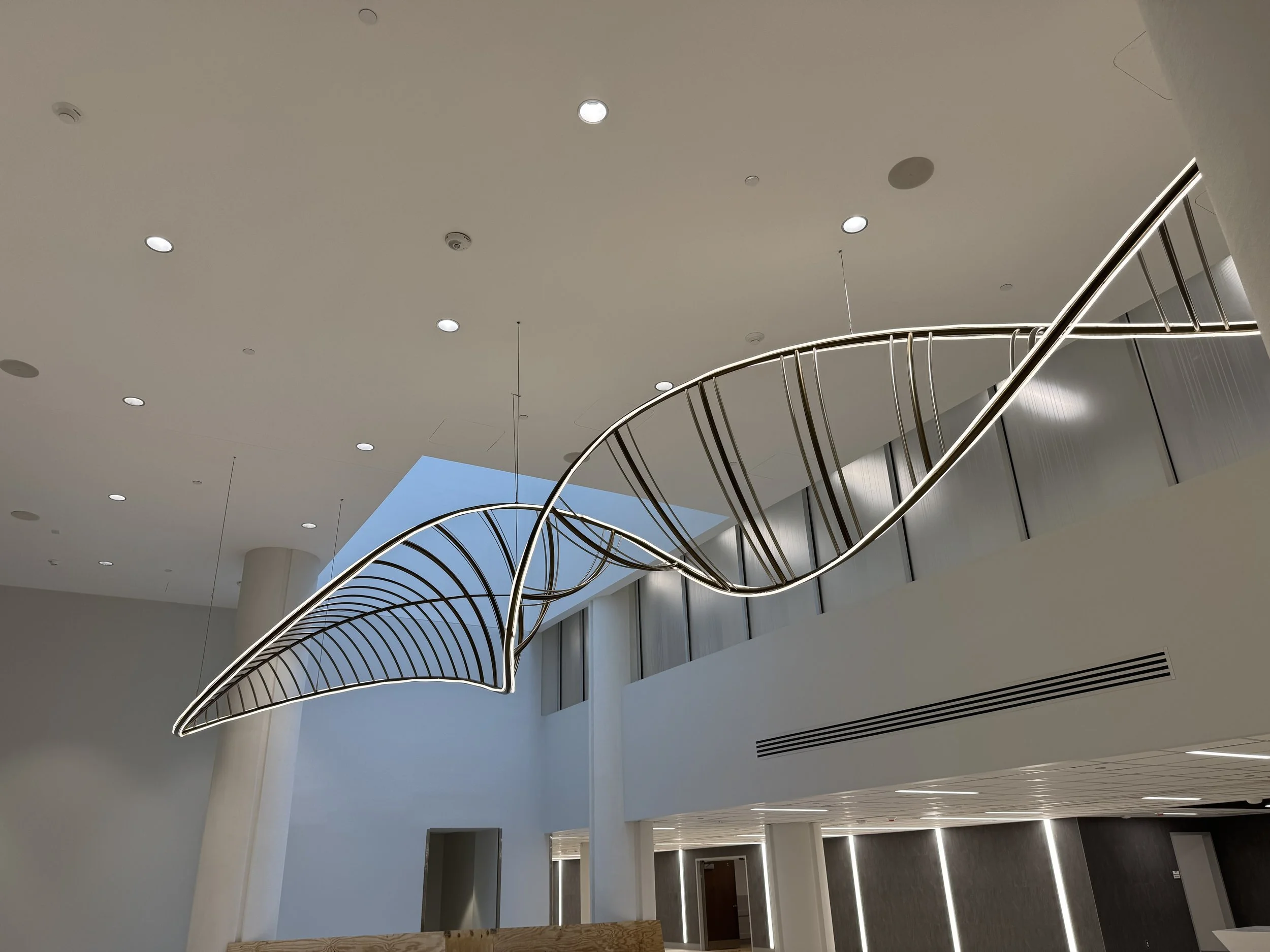 WF installation-13.jpg