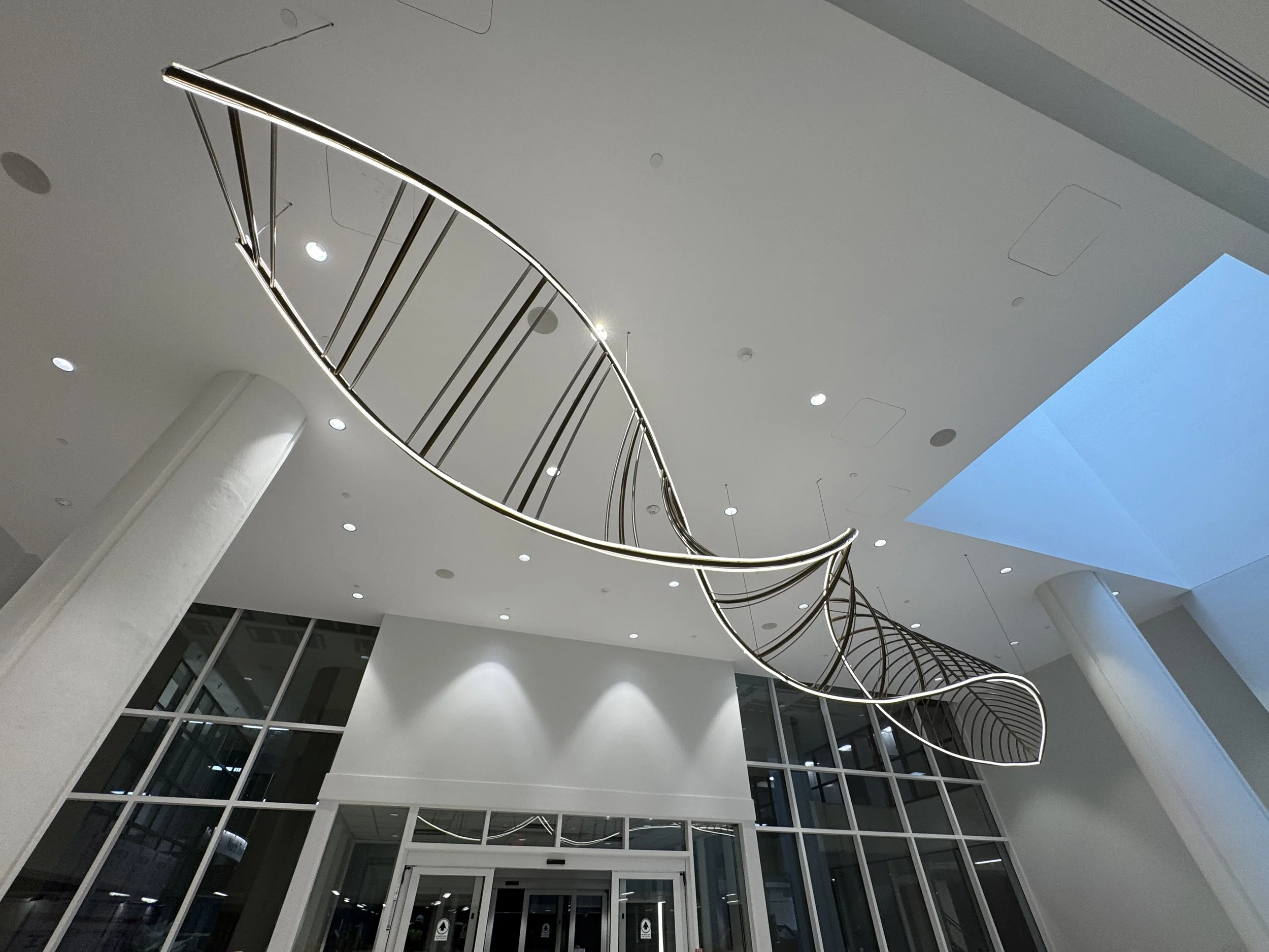 WF installation-20.jpg