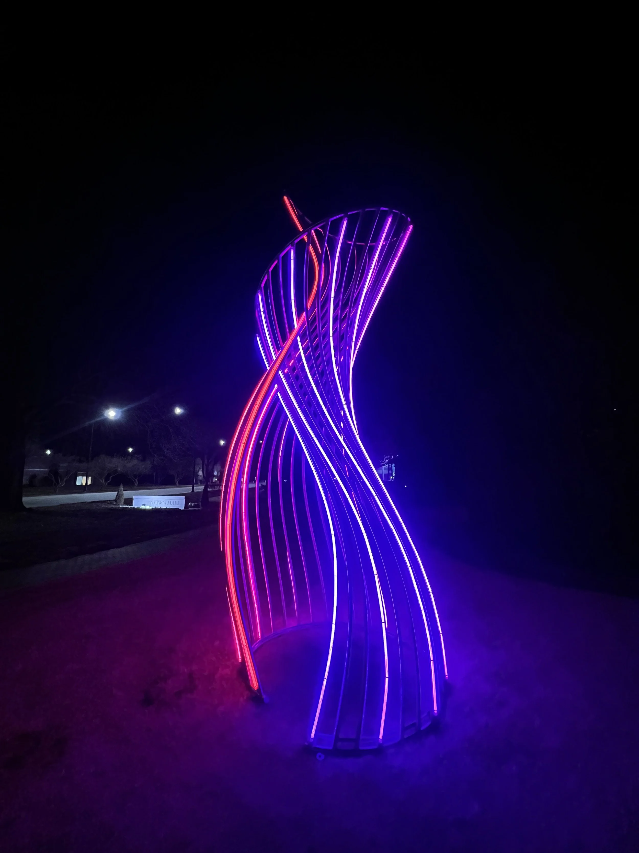 Photo Feb 04 2025, 6 46 12 PM.jpg