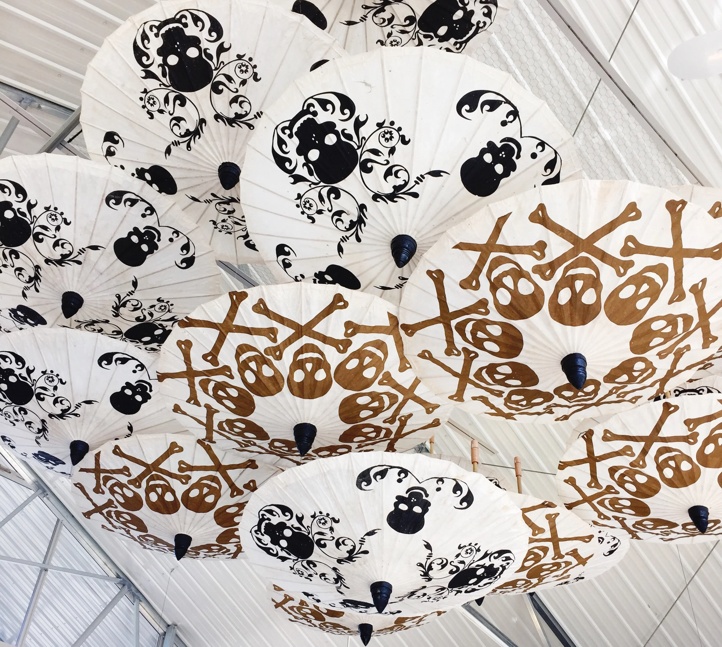 Seeing skulls at Sam Bridge Nursery