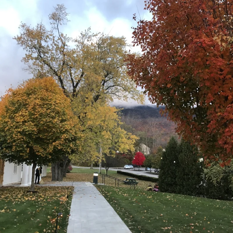 Vermont Vacation Lilies and Lambs