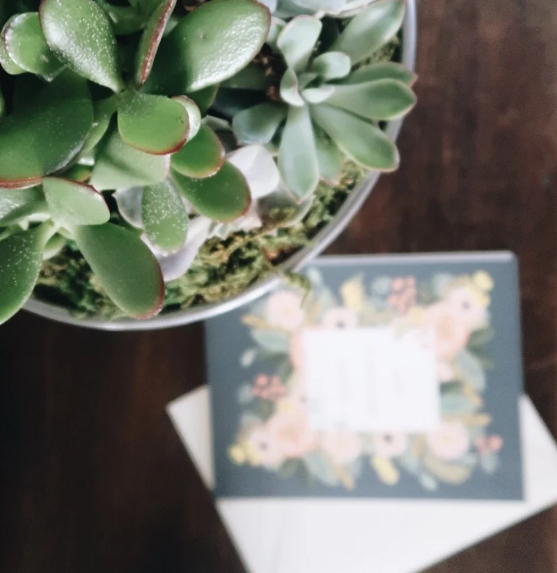 Gifting Tiny Gardens 