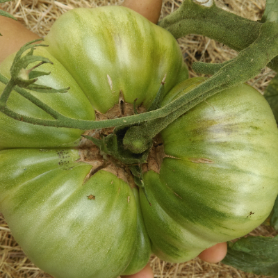 IMAG2396.jpg