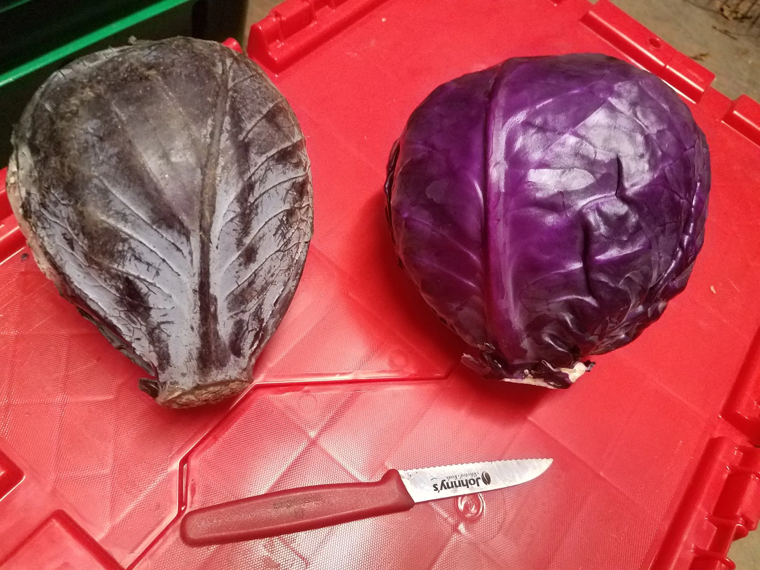 20170112_143054.jpg
