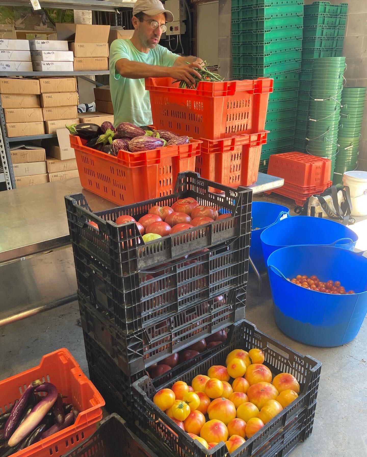 We&rsquo;re at peak summer harvest, and sales are still running on tomatoes. Grab a 10# flat of seconds ($25) to make that pico de gallo for a crowd, or put together a flat of firsts ($40) to have slicers for the week at camp. Find them at Tuesday&rs