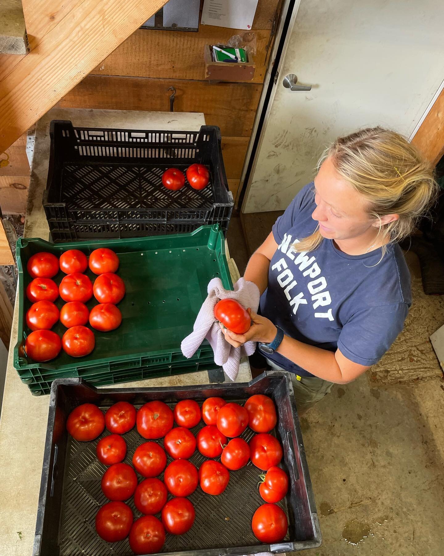 It&rsquo;s Tuesday and that means @brunswickfarmersmarket and the opening of our self-serve farmstand for the week! Come taste and see SUMMER: cherry tomatoes, husk cherries, basil, eggplants, sweet peppers, and so much more.