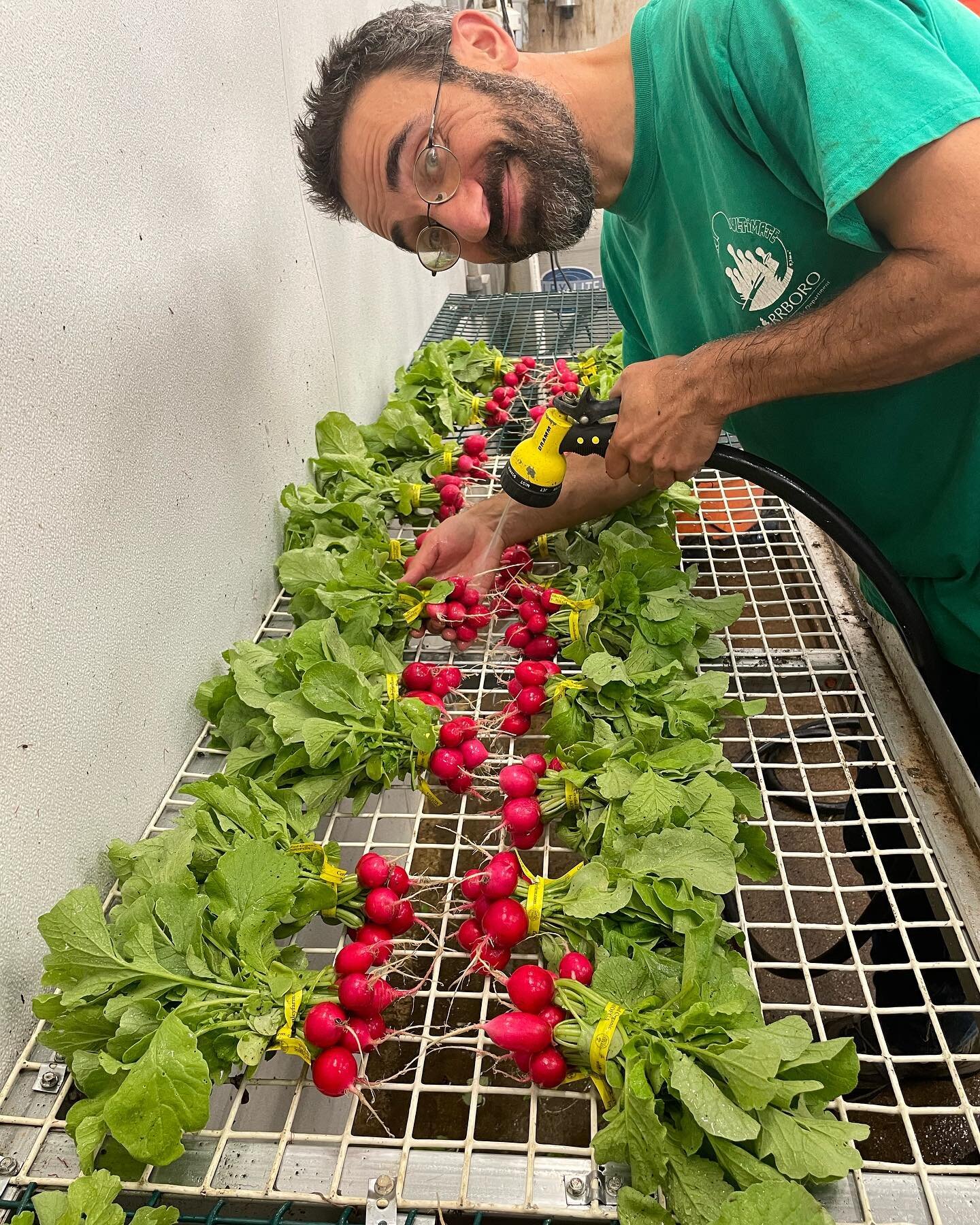 Excited for Tuesday&rsquo;s @brunswickfarmersmarket and for the opening of our farmstand for the week! Greens and radishes meet peppers and tomatoes in this most august of months.

#brunswickmaine #mainefarmersmarkets #organicveggies #maineorganic