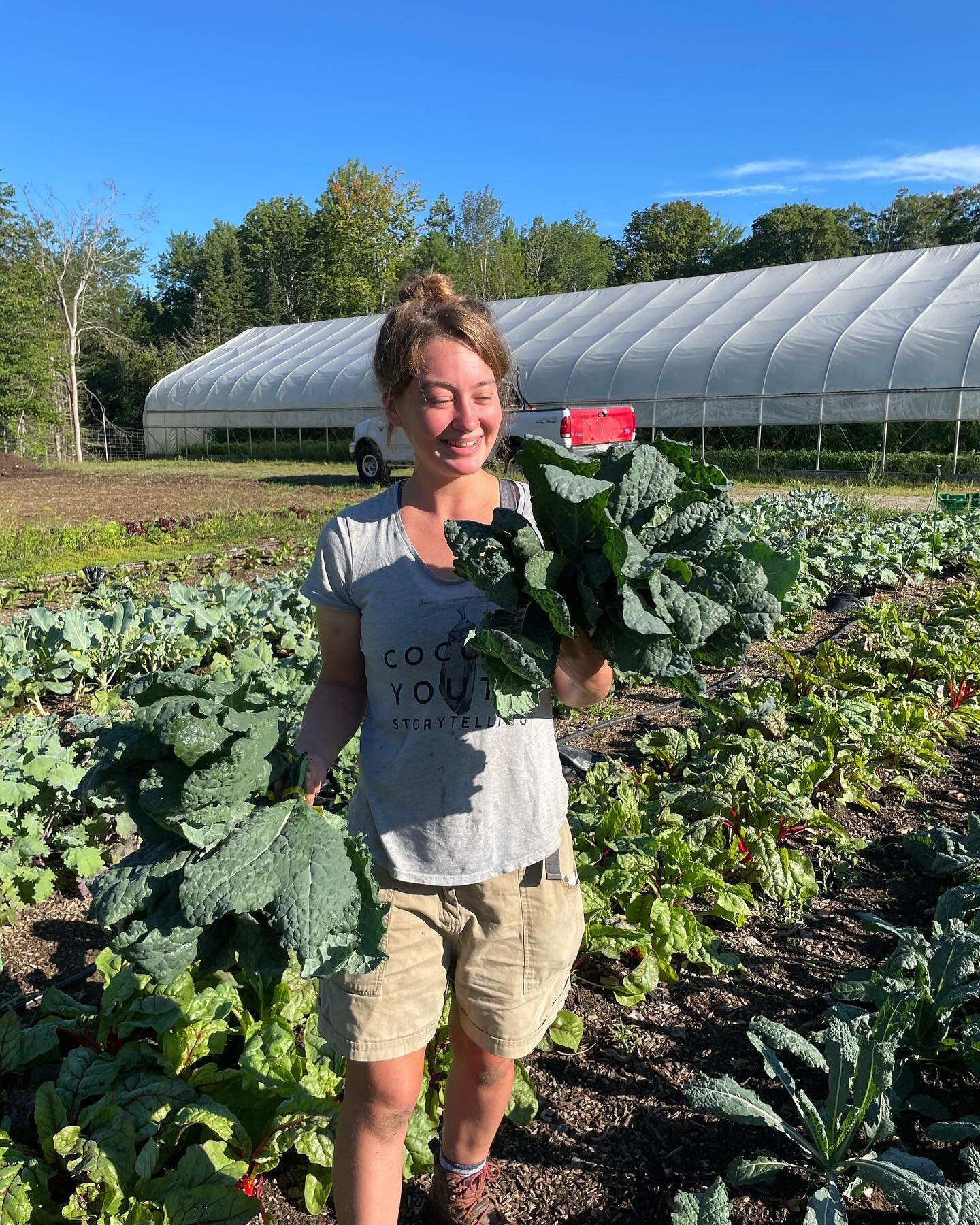 Happy September! It was a beautiful day at the farm harvesting for this weekend&rsquo;s markets. Catch us Friday 8-1 at the downtown @brunswickfarmersmarket, and Saturday 8:30-12:30 at the @brunswicktopsham farmers market at Crystal Spring Farm. Our 