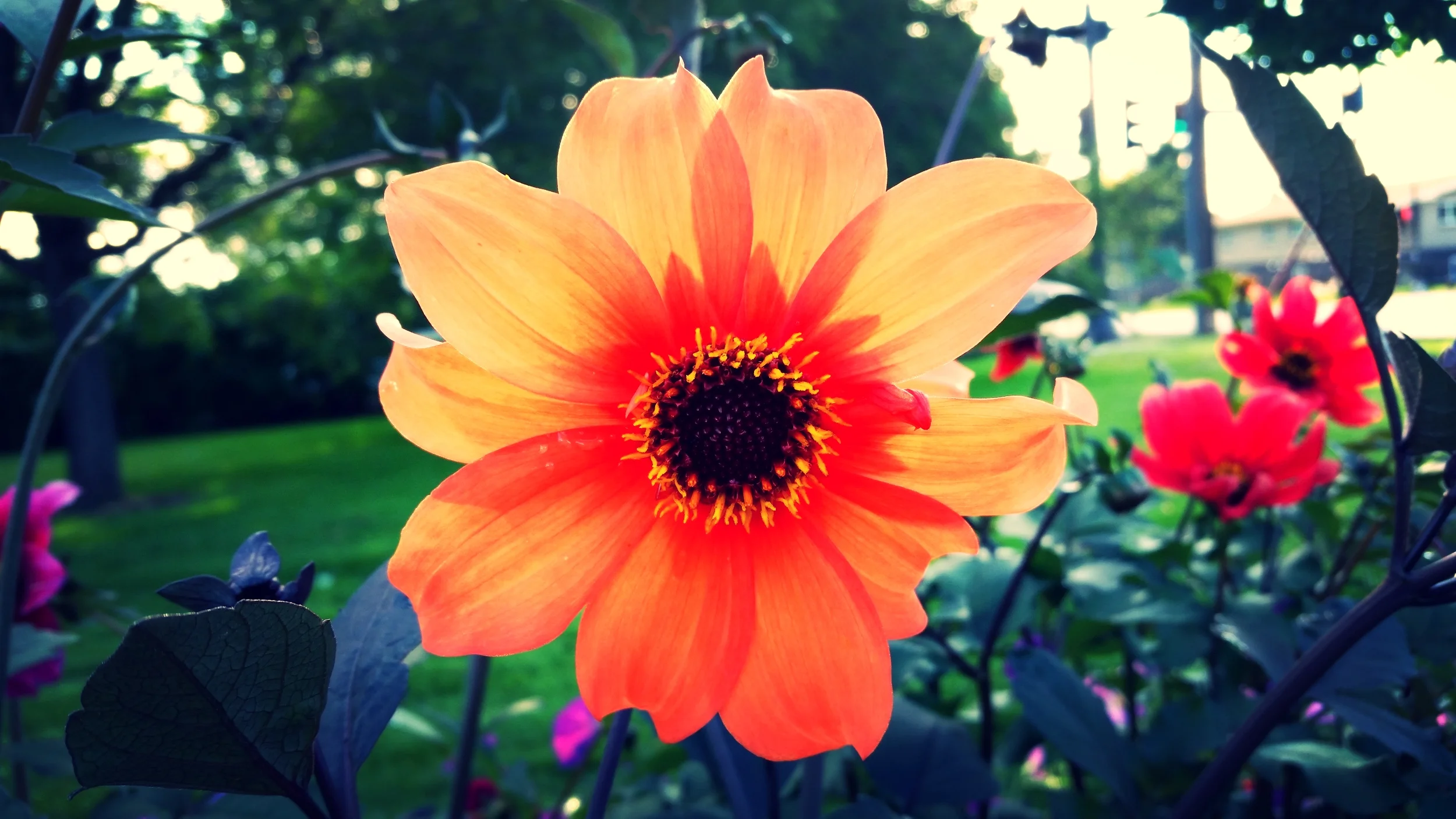 20140829_083105.jpg