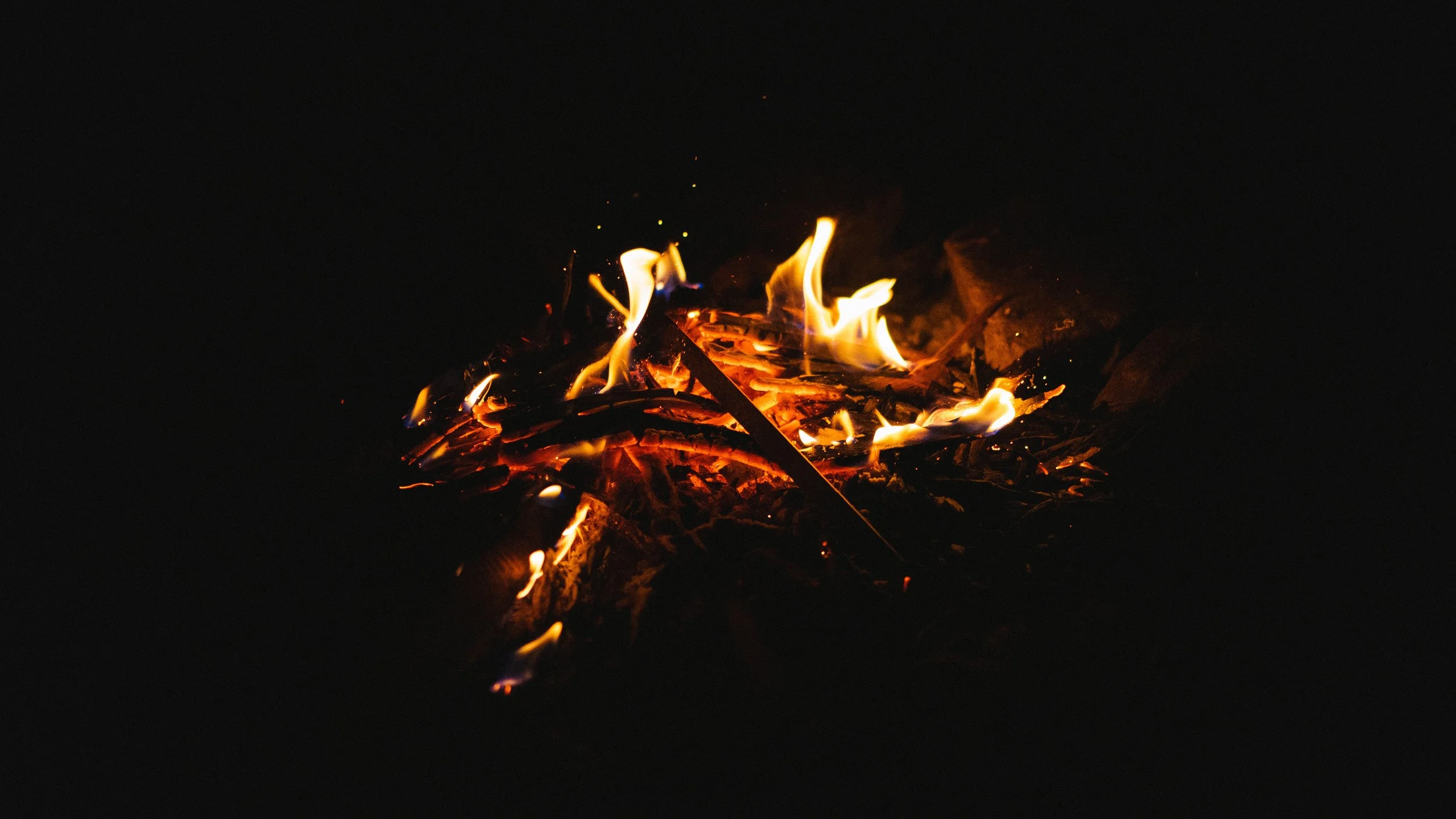 dan-gold-207219.jpg