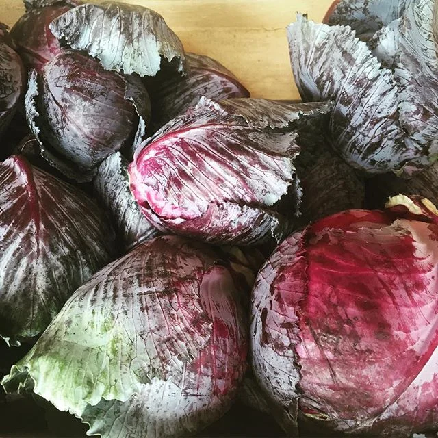 Farm to Table deliciousness from Sylvester Manor. Thank you for allowing us to explore the land. Support your local farmers! Buy local. #CSA #sylvestermanor #farmstand #local #farmersmarket