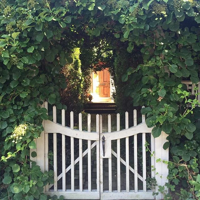 Enchanted entry ways ❤️🌿 #livingwall #greenery #landscape #architecture #exteriors #inspiration