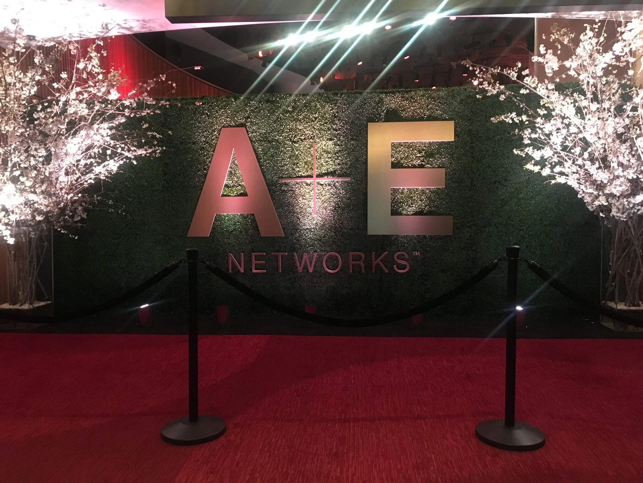 Photo Mar 21, 5 11 13 PM.jpg