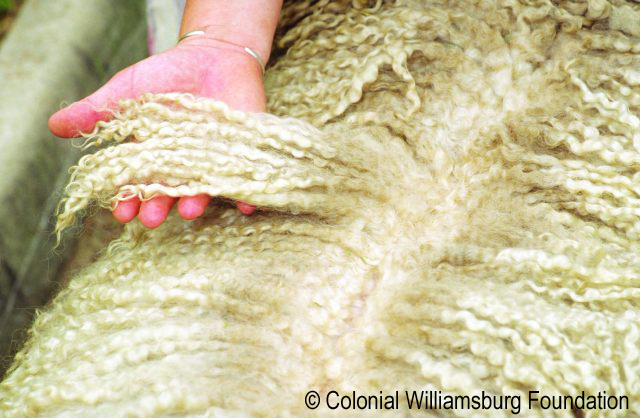 Photo Credit: Colonial Williamsburg Foundation