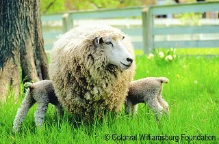 Courtesy Colonial Williamsburg Foundation
