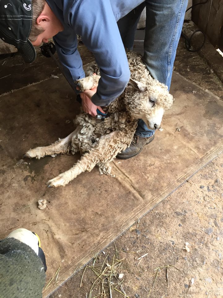 Courtesy William Churchill and Fred Stowell, Underhill Farm