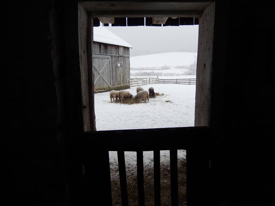 Courtesy William Churchill and Fred Stowell, Underhill Farm