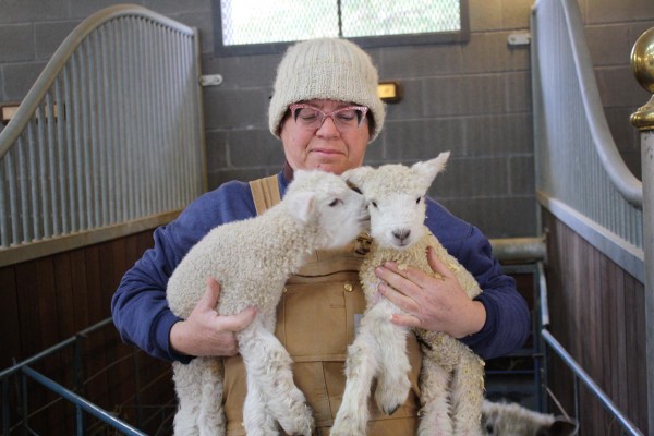 Photo: Jessica A Ross http://makinghistorynow.com/2015/03/happy-birthday-and-happy-anniversary-to-our-leicester-lambs/