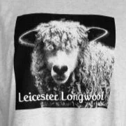 LightGreyLLSBAShirt.jpg