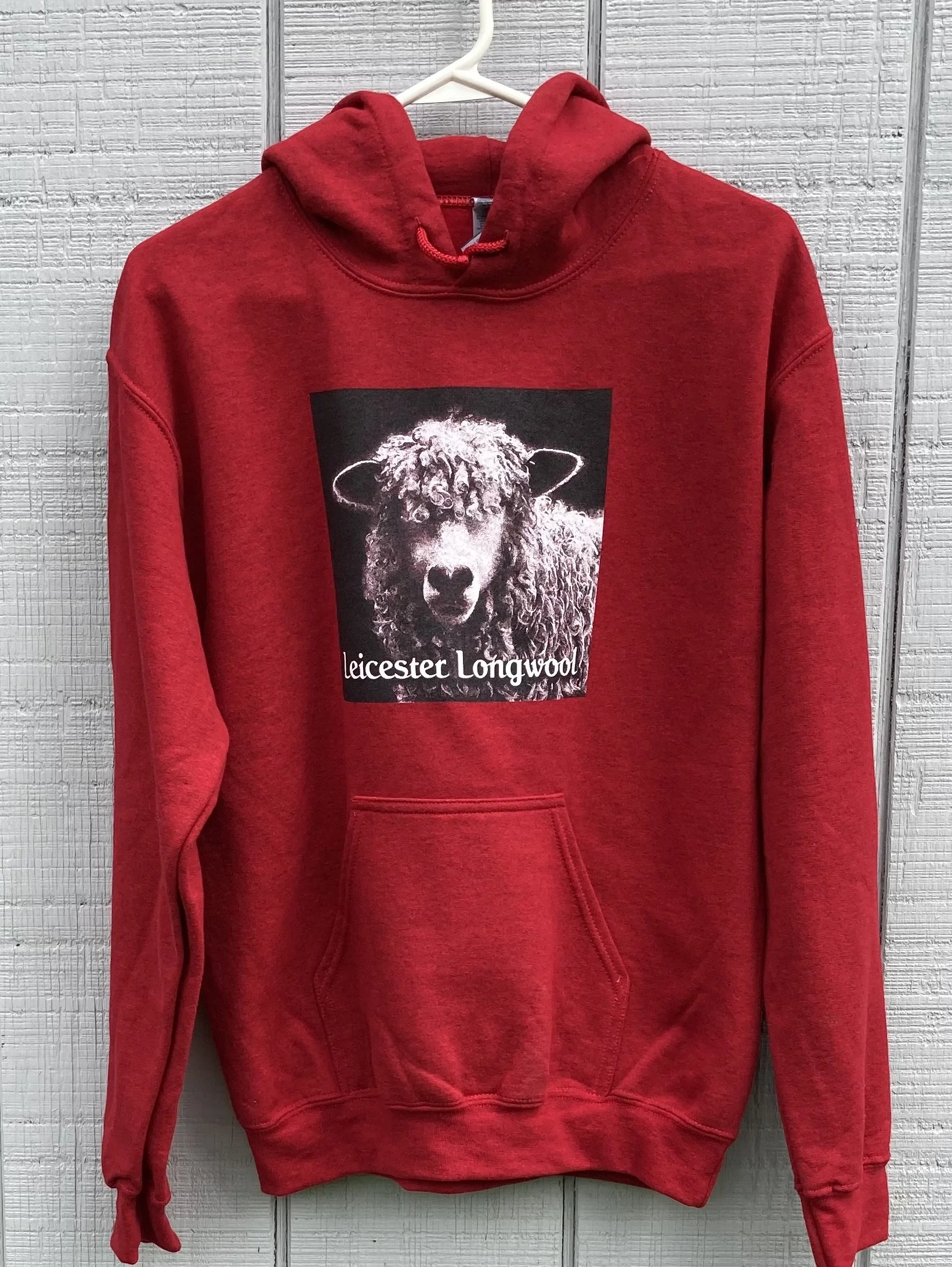 Red hoodie.jpg