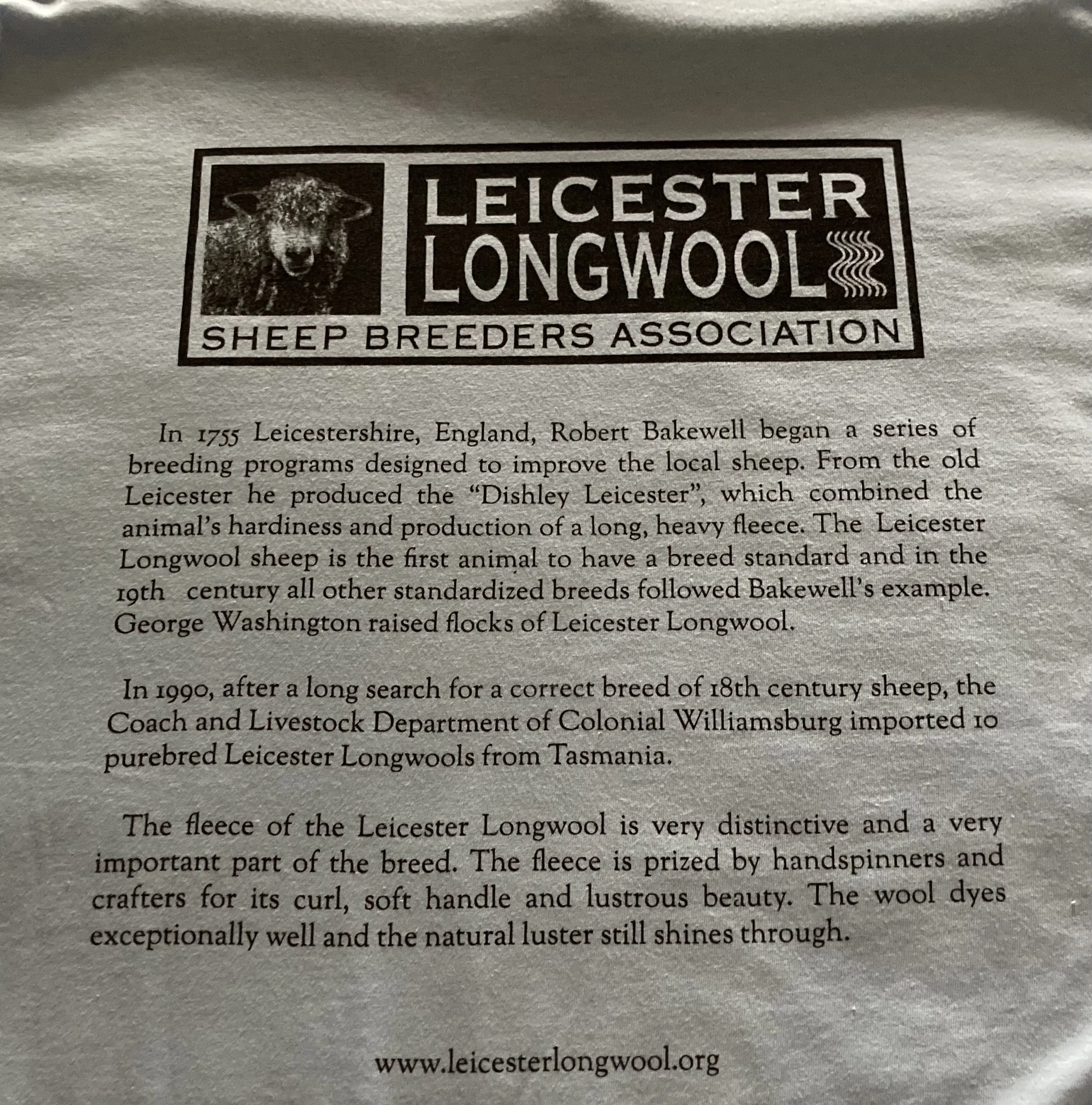 Gray tshirt back.jpg