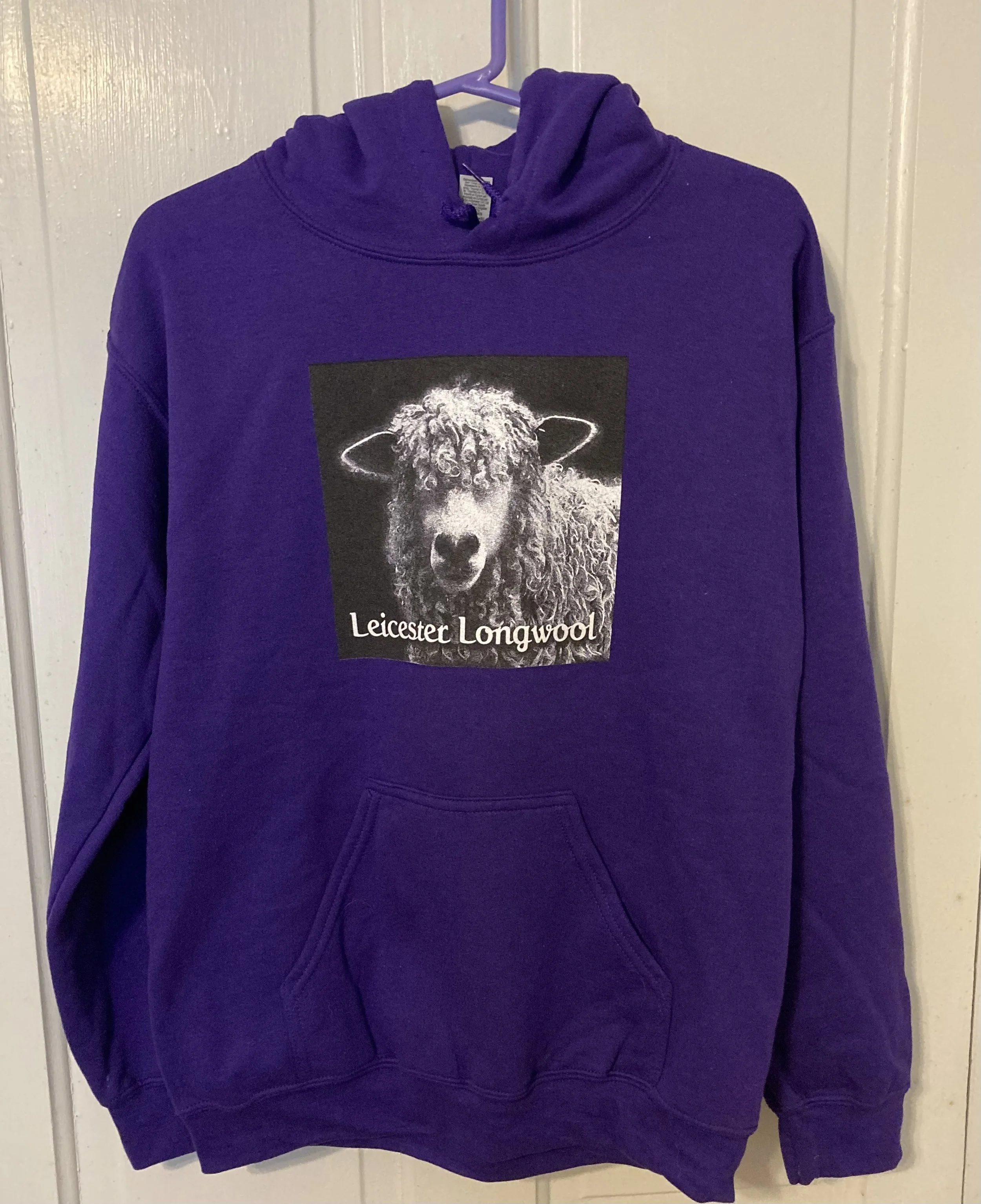 Purple hoodie.jpg
