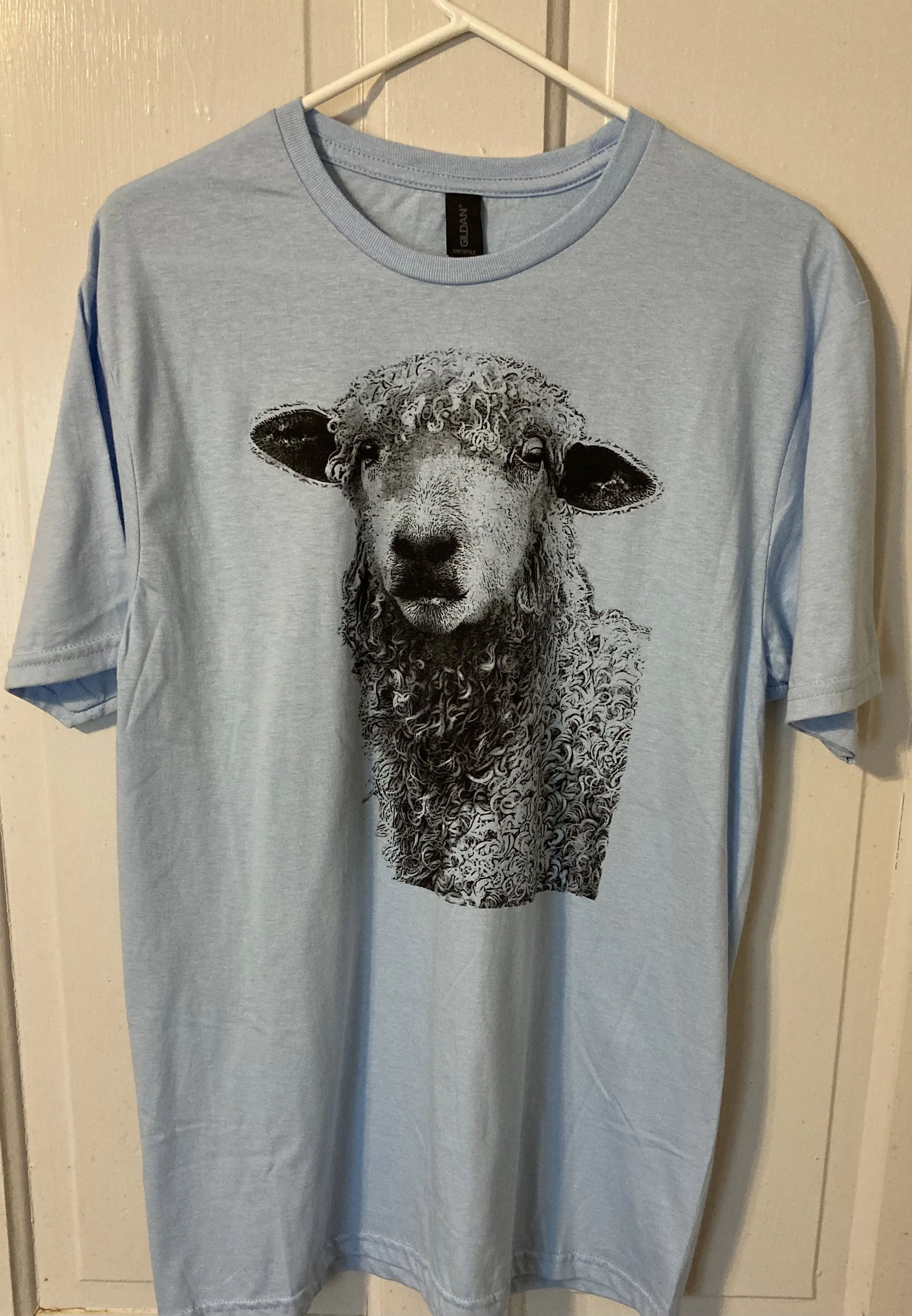 Blue tshirt.jpg