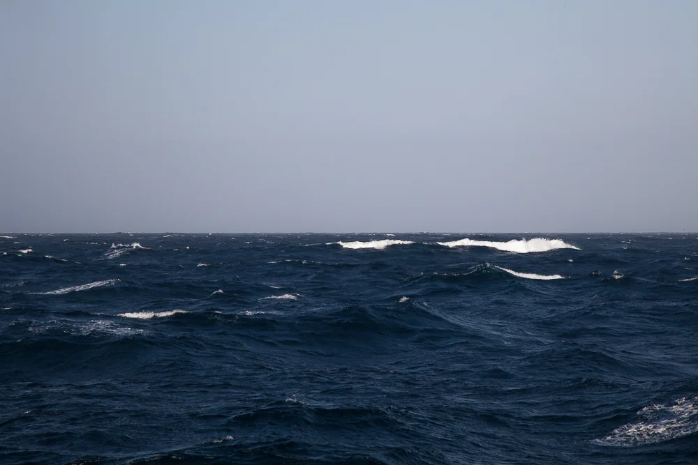 IMG_4643.jpg